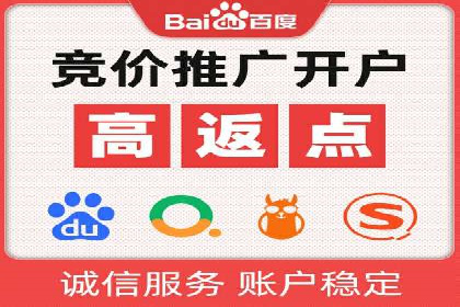 某科技公司的信息流广告投放策略与效果评估